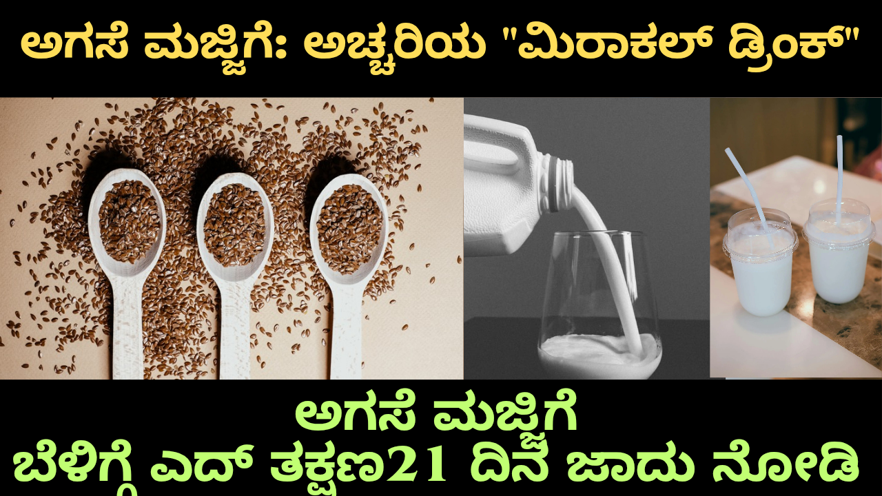 plix weight loss ಅಗಸೆ ಮಜ್ಜಿಗೆ: ಅಚ್ಚರಿಯ "ಮಿರಾಕಲ್ ಡ್ರಿಂಕ್" – ವಿವರಣೆ ಮತ್ತು ಪ್ರಯೋಜನಗಳು
